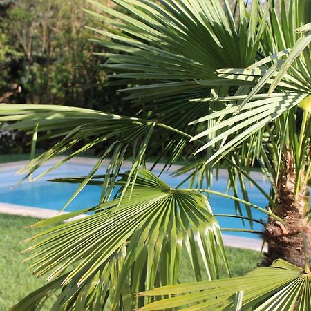 Les Romarins B&B, 10 Min D'Uzes, Piscine Et Grand Jardin, Table D'Hote Kültér fotó