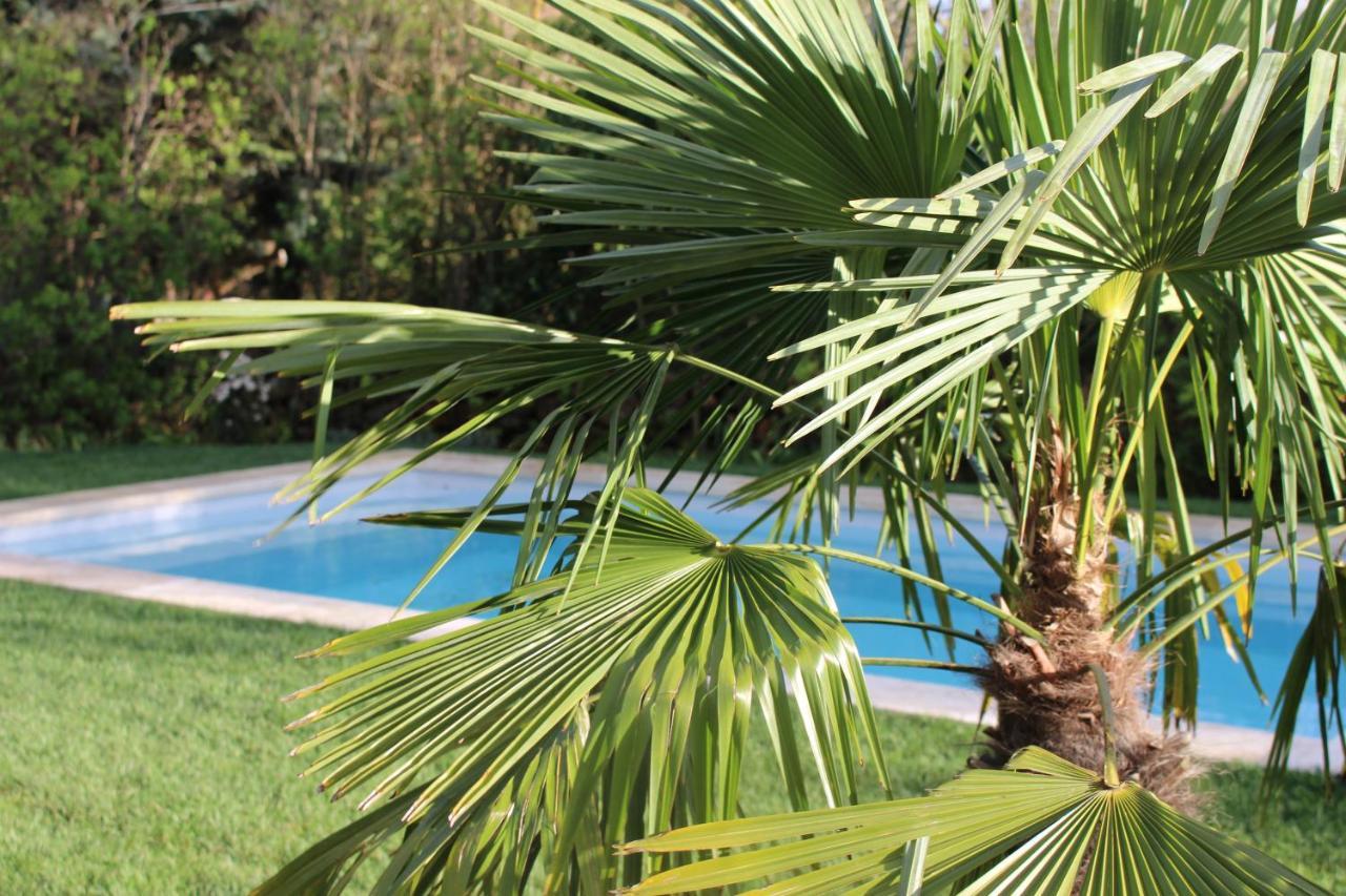 Les Romarins B&B, 10 Min D'Uzes, Piscine Et Grand Jardin, Table D'Hote Kültér fotó